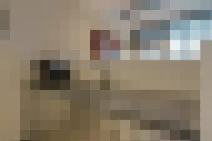 Sint Jorisstate 1 Rosmalen thumbnail 18