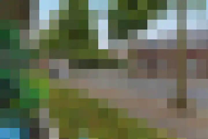 Sint Jorisstate 1 Rosmalen thumbnail 23