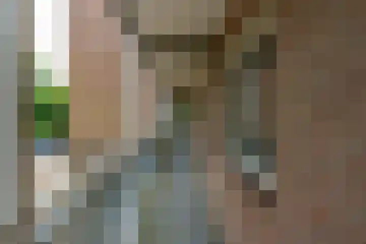 Sint Jorisstate 1 Rosmalen thumbnail 28