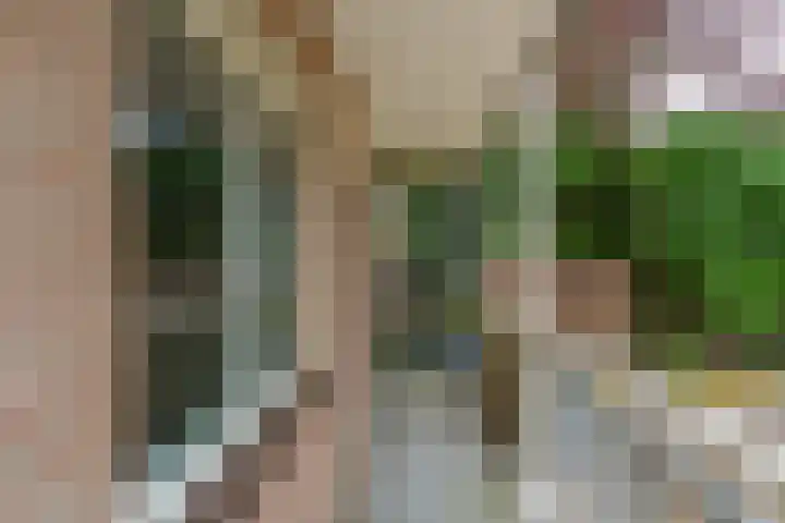 Sint Jorisstate 1 Rosmalen thumbnail 29