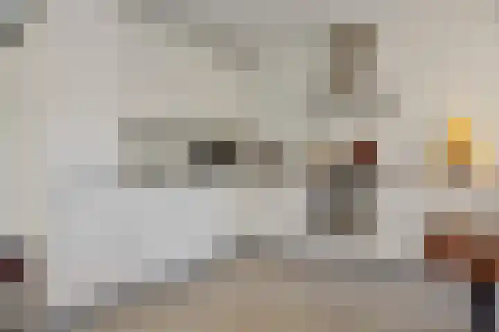 Sint Jorisstate 20 Rosmalen thumbnail 10