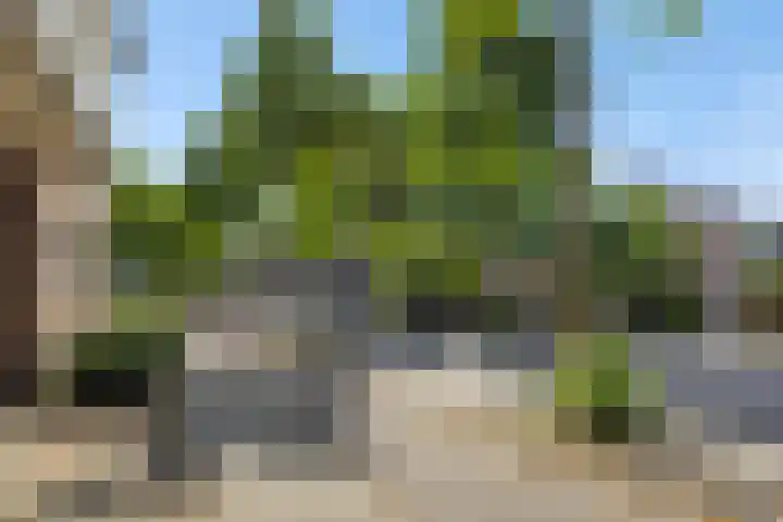 Sint Jorisstate 20 Rosmalen thumbnail 24