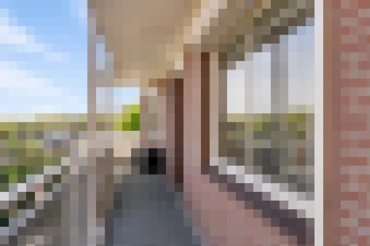 Sint Jorisstate 22 Rosmalen thumbnail 22