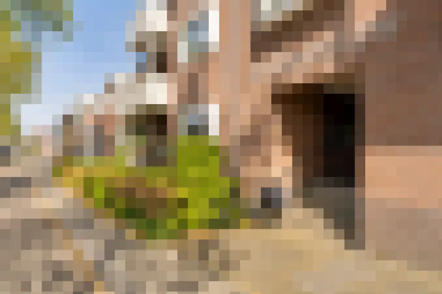 Sint Jorisstate 22 Rosmalen thumbnail 25