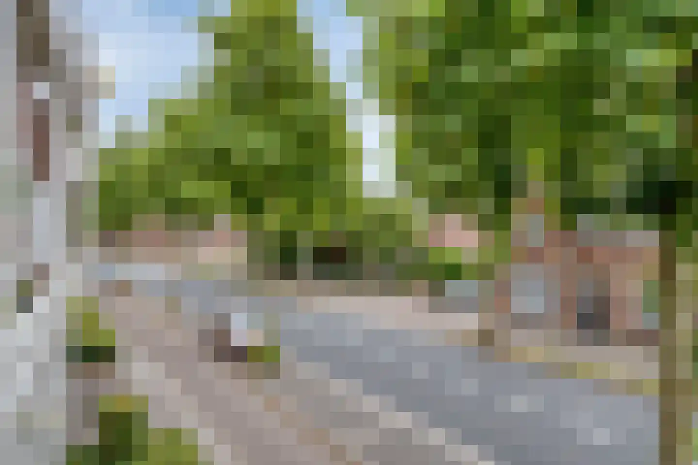 Sint Jorisstate 7 Rosmalen thumbnail 15