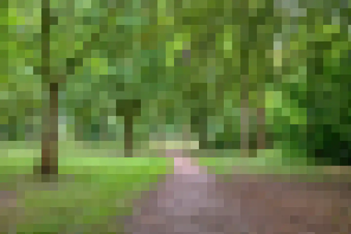 Sint Jorisstate 7 Rosmalen thumbnail 33