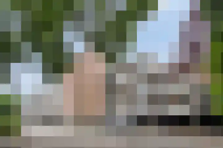 Sint Jorisstate 9 Rosmalen thumbnail 14