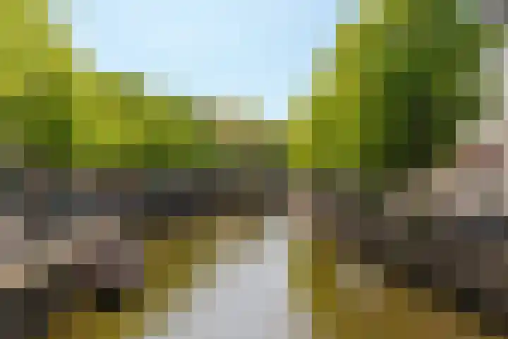Sint Jorissteeg 1 D Leiden thumbnail 31