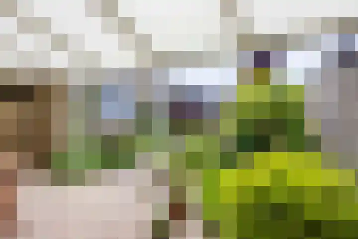 Sint Jorisstraat 1 Maashees thumbnail 25