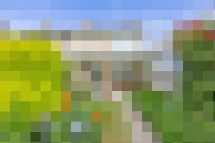 Sint Jorisstraat 1 Maashees thumbnail 27