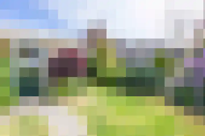 Sint Jorisstraat 1 Maashees thumbnail 28