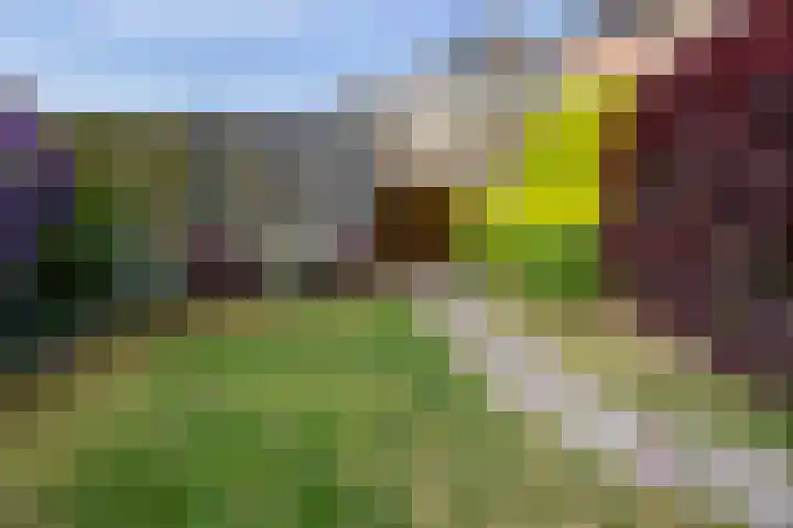 Sint Jorisstraat 1 Maashees thumbnail 29