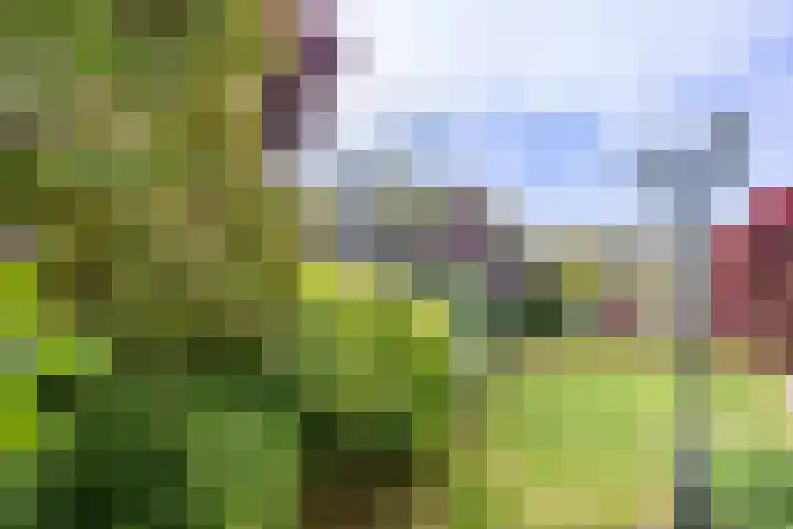 Sint Jorisstraat 1 Maashees thumbnail 30