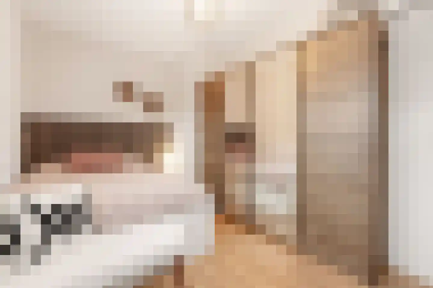 Sint Jorisstraat 11 Tilburg thumbnail 14