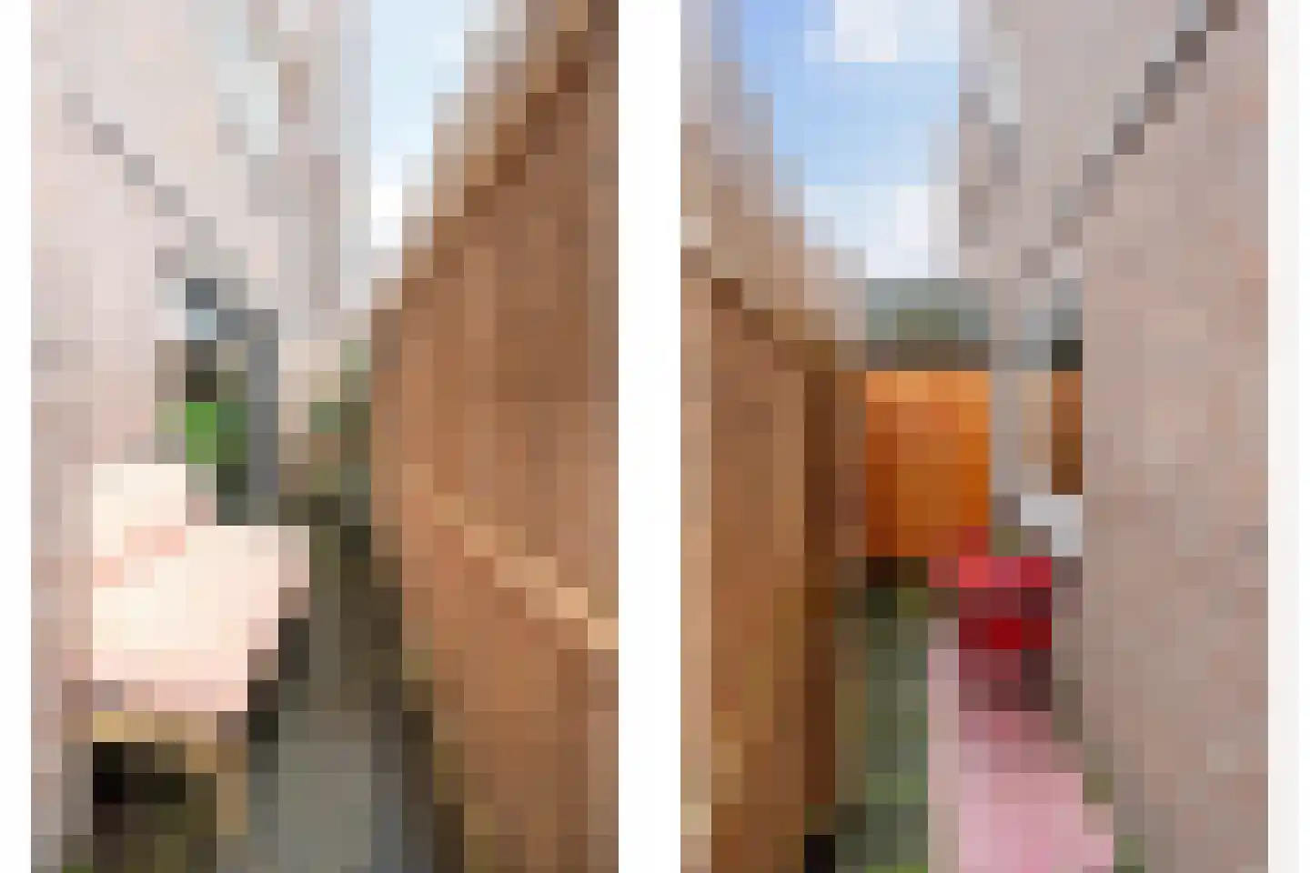 Sint Jorisstraat 11 Tilburg thumbnail 16