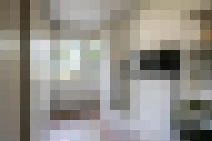 Sint Jorisstraat 12 Maashees thumbnail 11