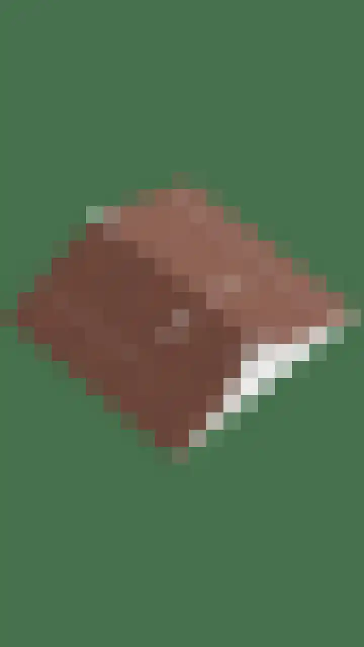 Sint Jorisstraat 12 Maashees thumbnail 33