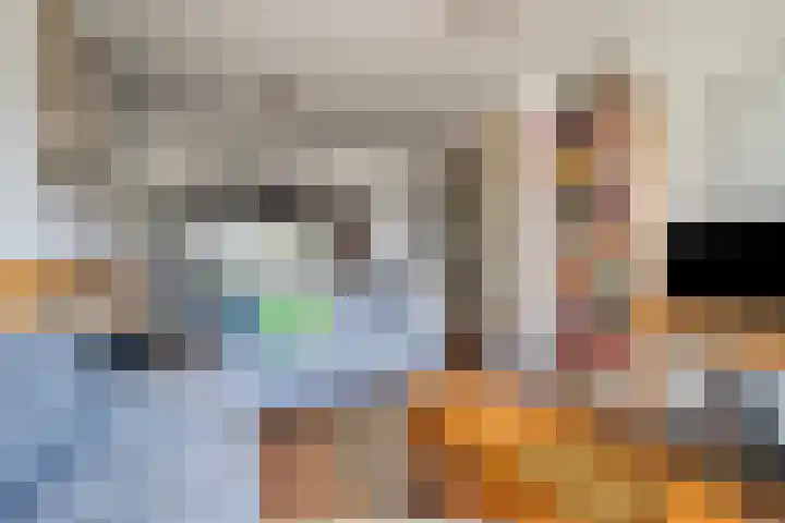 Sint Jorisstraat 12 Maashees thumbnail 5