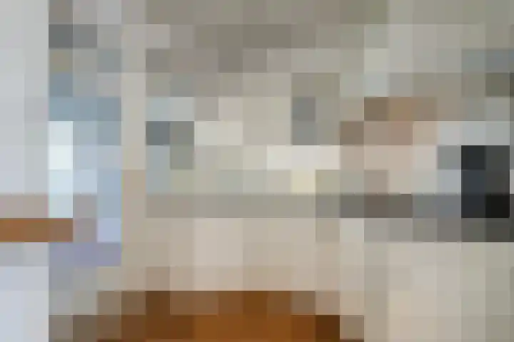 Sint Jorisstraat 12 Maashees thumbnail 9