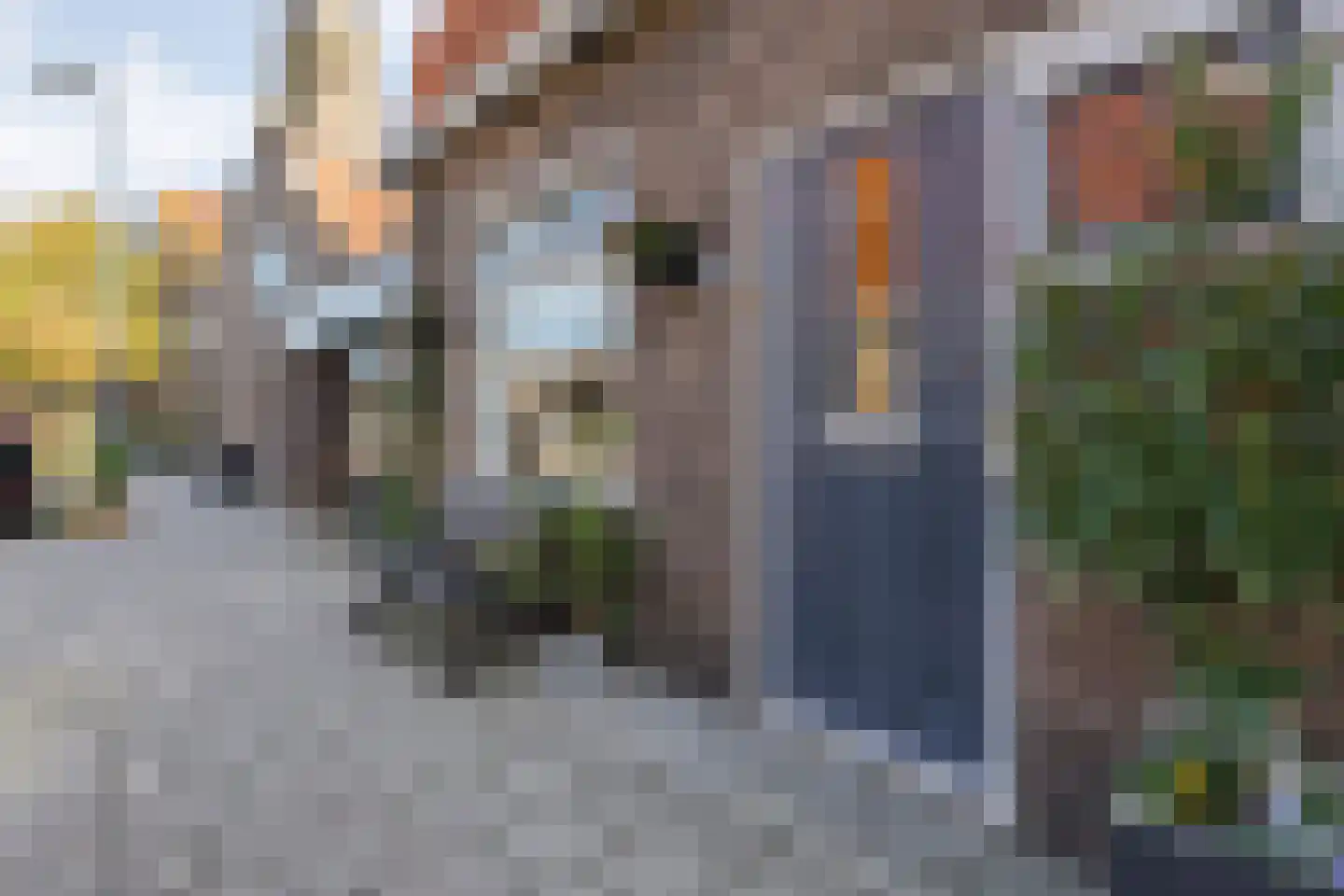 Sint Jorisstraat 15 Kampen thumbnail 39