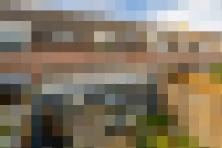 Sint Jorisstraat 16 Zevenbergen thumbnail 4