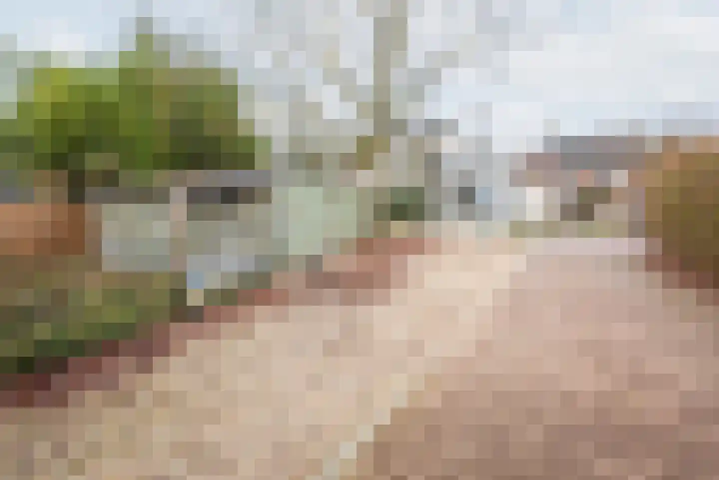 Sint Jorisstraat 17 Terborg thumbnail 26
