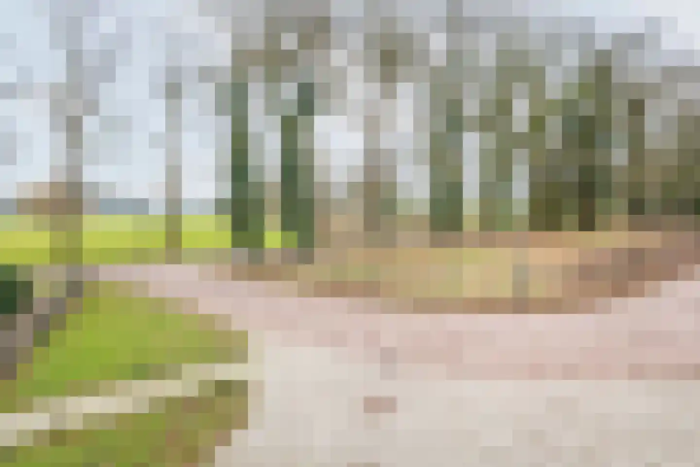 Sint Jorisstraat 17 Terborg thumbnail 29