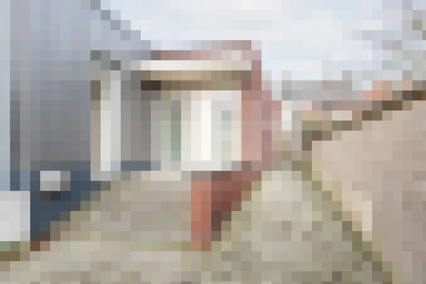 Sint Jorisstraat 17 Terborg thumbnail 7