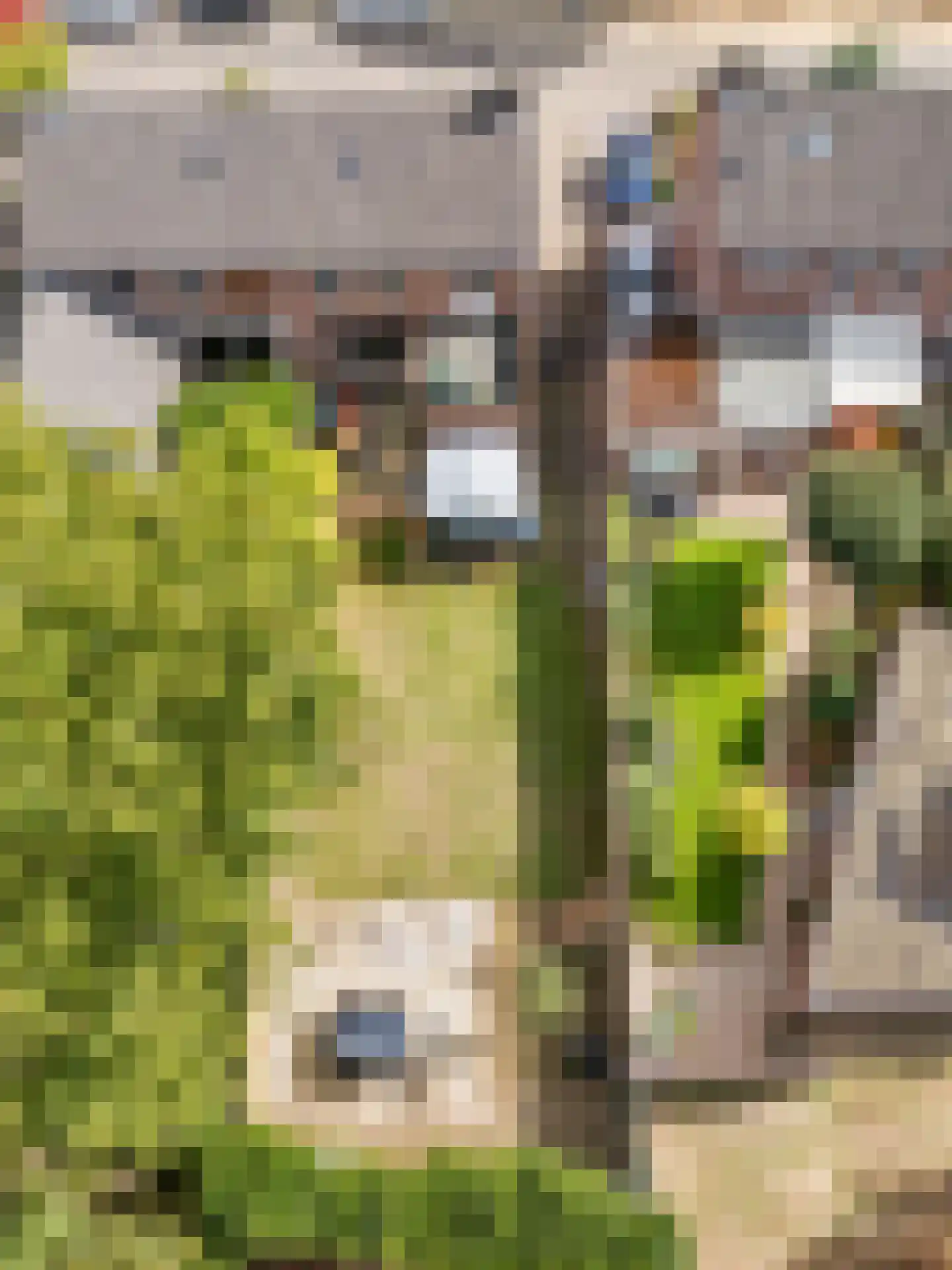 Sint Jorisstraat 19 Beesel thumbnail 7
