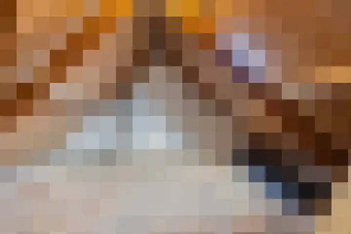 Sint Jorisstraat 2 Kampen thumbnail 20