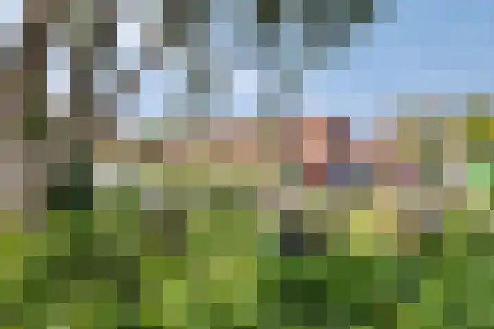 Sint Jorisstraat 2 Kampen thumbnail 24