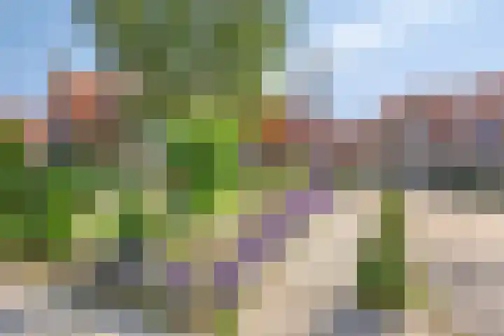 Sint Jorisstraat 2 Kampen thumbnail 25