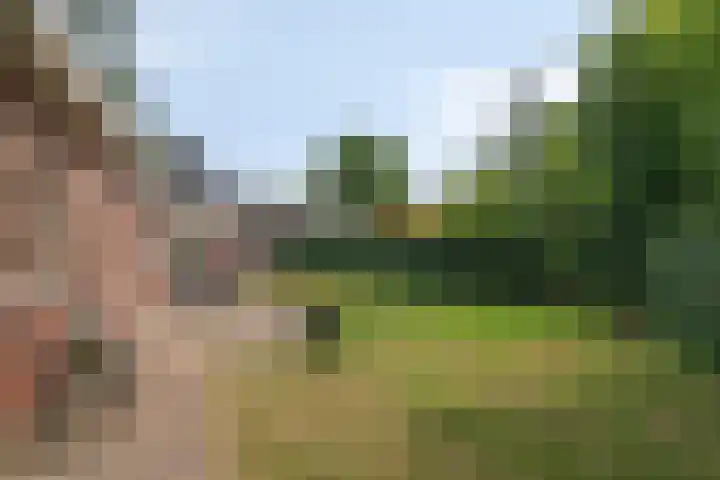 Sint Jorisstraat 21 Veldhoven thumbnail 31