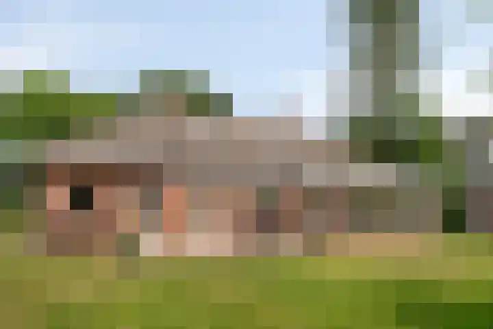 Sint Jorisstraat 21 Veldhoven thumbnail 32