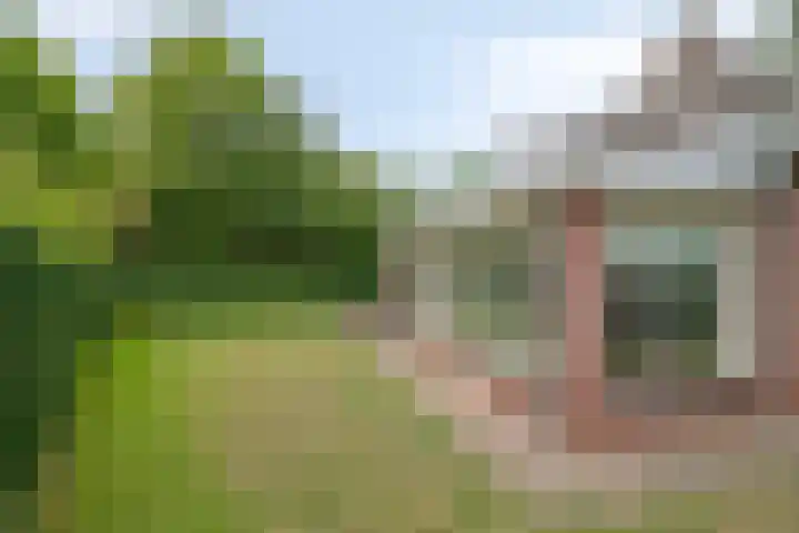 Sint Jorisstraat 21 Veldhoven thumbnail 36