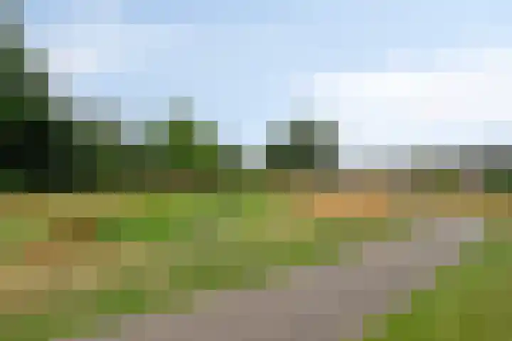 Sint Jorisstraat 21 Veldhoven thumbnail 39