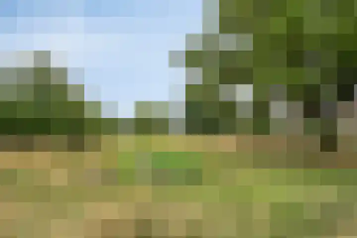 Sint Jorisstraat 21 Veldhoven thumbnail 40
