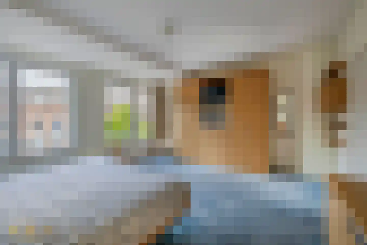 Sint Jorisstraat 21 Venlo thumbnail 18