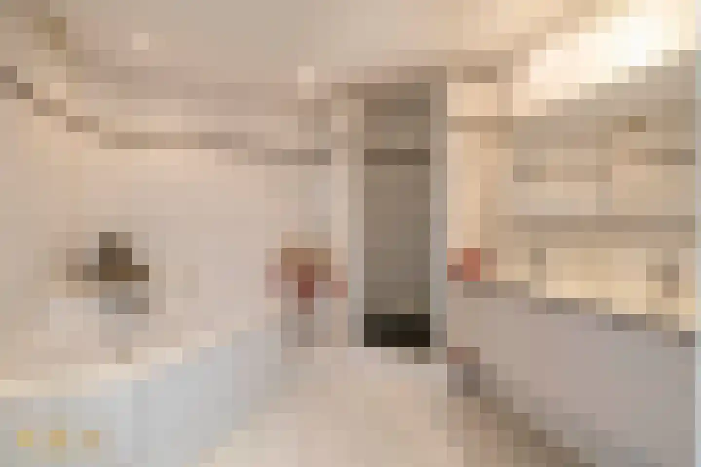 Sint Jorisstraat 21 Venlo thumbnail 22