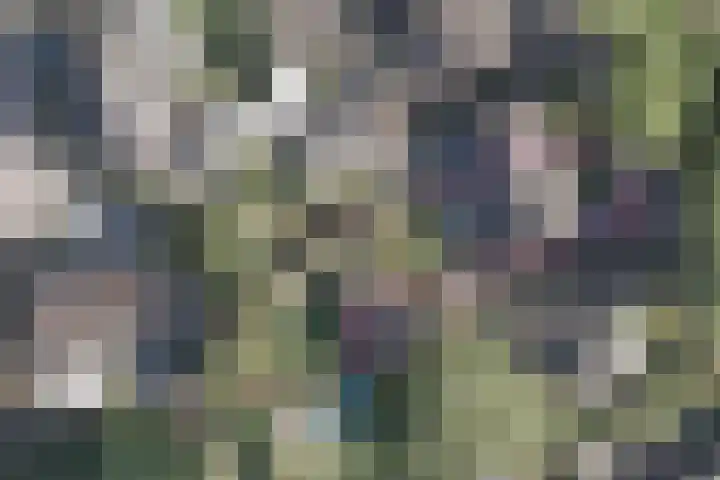 Sint Jorisstraat 27 Helvoirt thumbnail 32