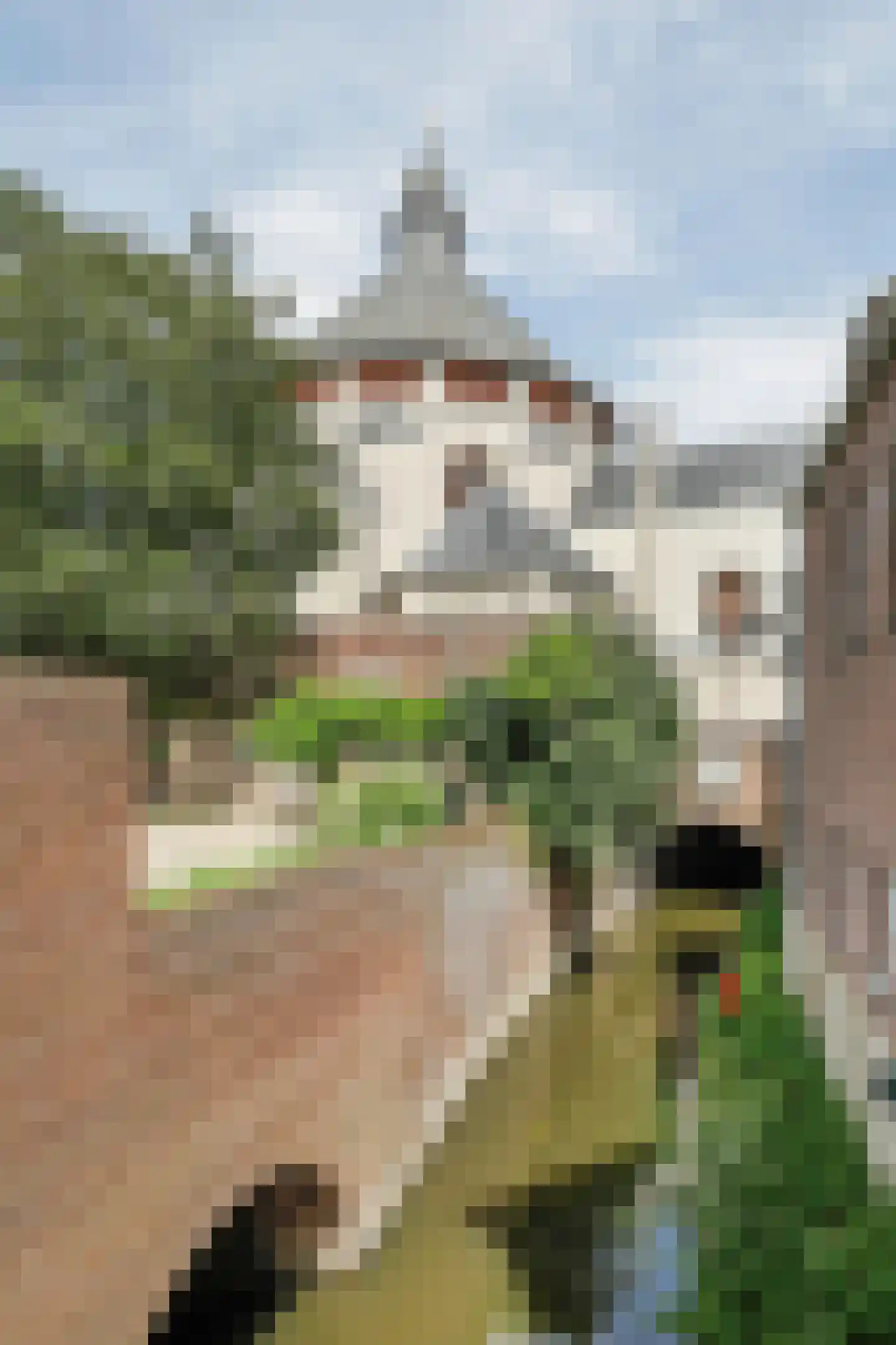Sint Jorisstraat 28 's-Hertogenbosch thumbnail 46