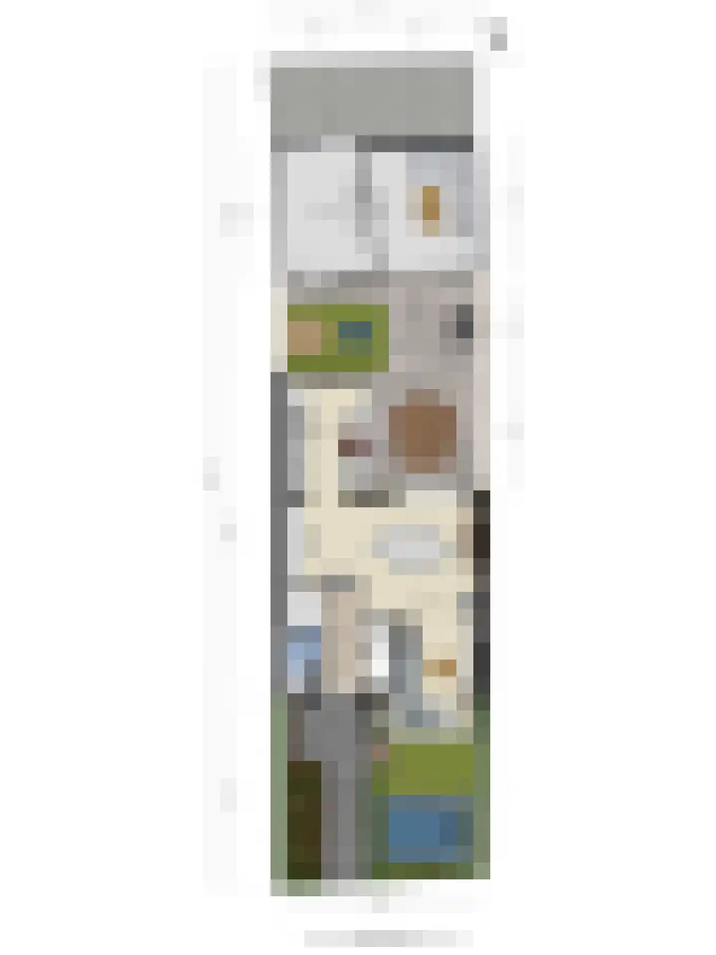 Sint Jorisstraat 30 Berlicum thumbnail 60