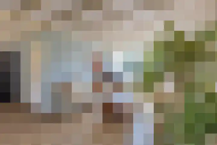 Sint Jorisstraat 36 Maashees thumbnail 12