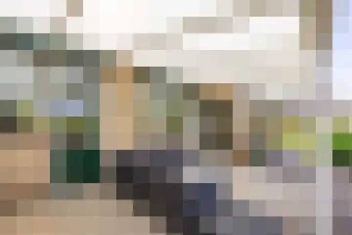 Sint Jorisstraat 36 Maashees thumbnail 28