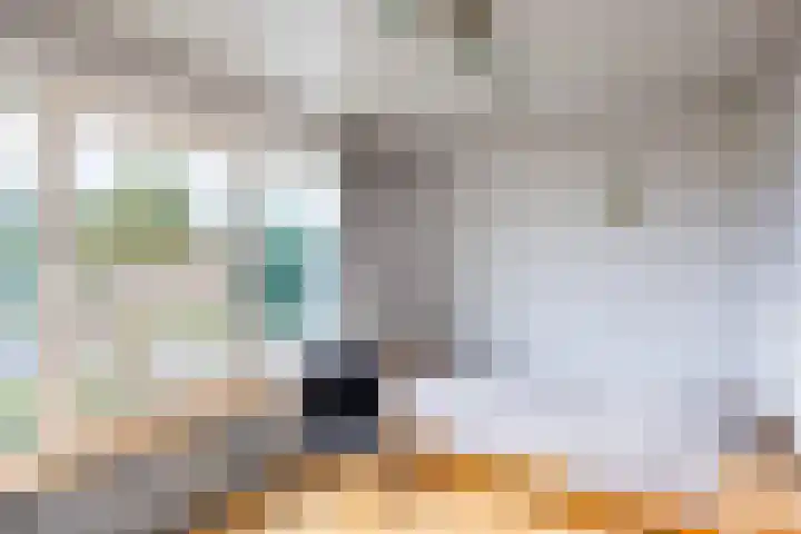 Sint Jorisstraat 36 Maashees thumbnail 33
