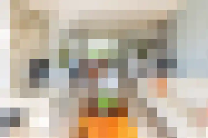 Sint Jorisstraat 36 Maashees thumbnail 4