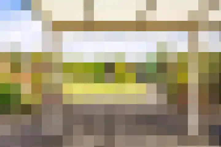 Sint Jorisstraat 36 Maashees thumbnail 42