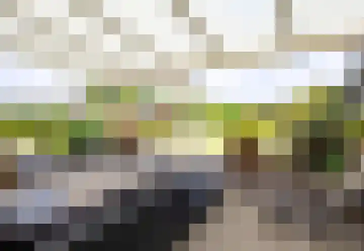 Sint Jorisstraat 36 Maashees thumbnail 43