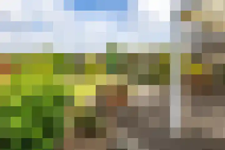Sint Jorisstraat 36 Maashees thumbnail 44