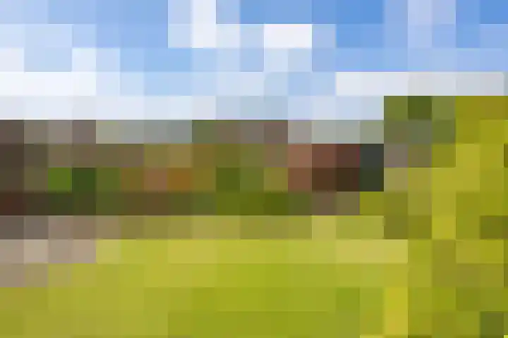 Sint Jorisstraat 36 Maashees thumbnail 46